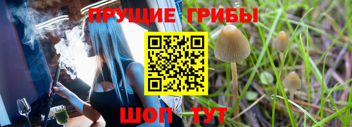 Кудымкар  Псилоцибиновые грибы Psilocybe  Вход с VPN  Галлюциногенные грибы Magic Shrooms 